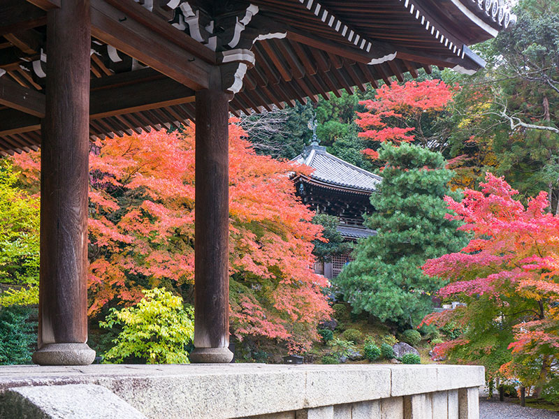 知恩院